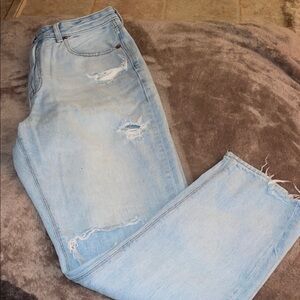 Light Wash Distressed Mom Jeans